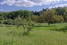 Castaño del Robledo 8000&nbsp;м²