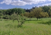 Rural estate for sale in Castaño del Robledo ref: TR405642 photo