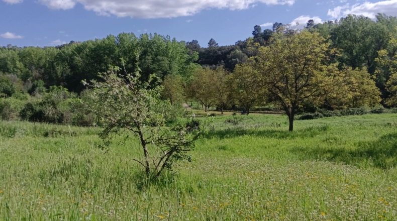 Huelva - Castaño del Robledo - 8000m2