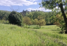 Castaño del Robledo 8000&nbsp;м²