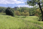 Rural estate for sale in Castaño del Robledo ref: TR405642 photo