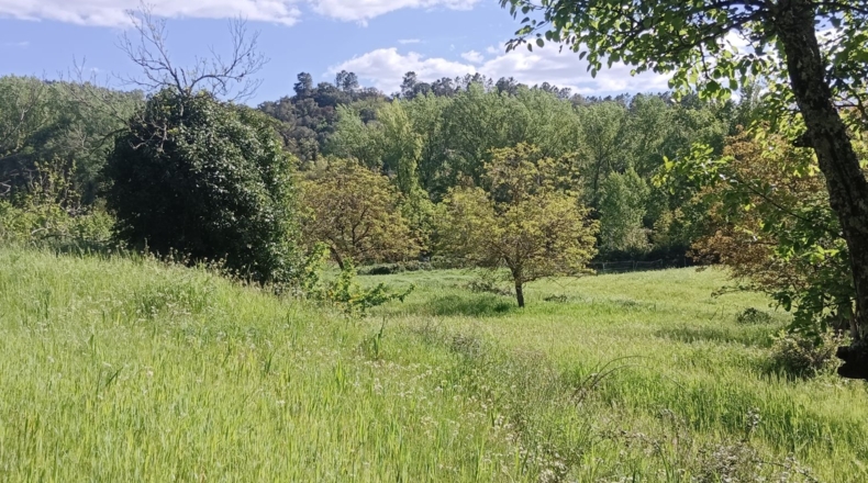 Huelva - Castaño del Robledo - 8000m2