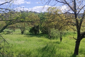 Castaño del Robledo 8000&nbsp;м²