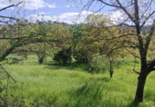 Rural estate for sale in Castaño del Robledo ref: TR405642 photo