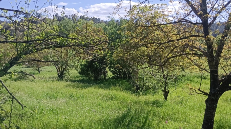 Huelva - Castaño del Robledo - 8000m2