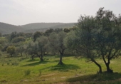 Rural estate for sale in Aroche ref: TR405644 photo