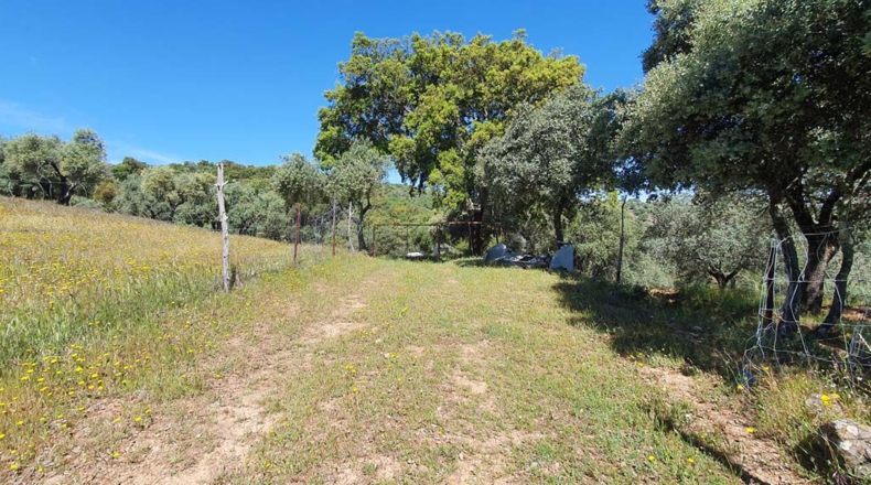 Huelva - Aroche - 110000m2