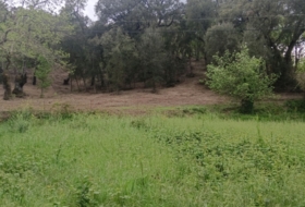 Los Marines 355&nbsp;m²