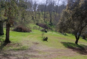 Cortelazor 30000&nbsp;m²