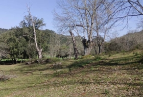 Cortelazor 30000&nbsp;m²