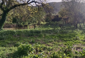 Cortelazor 30000&nbsp;m²