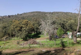 Cortelazor 30000&nbsp;m²