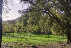 Cortelazor 30000&nbsp;m²