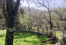 Cortelazor 30000&nbsp;m²