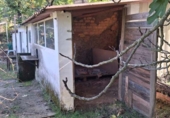 Rural estate for sale in Jabugo ref: TR405650 photo