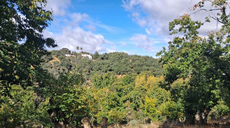 Huelva - Jabugo - 23000m2