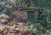 Rural estate for sale in Jabugo ref: TR405650 photo