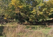 Rural estate for sale in Jabugo ref: TR405650 photo