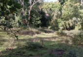 Rural estate for sale in Jabugo ref: TR405650 photo