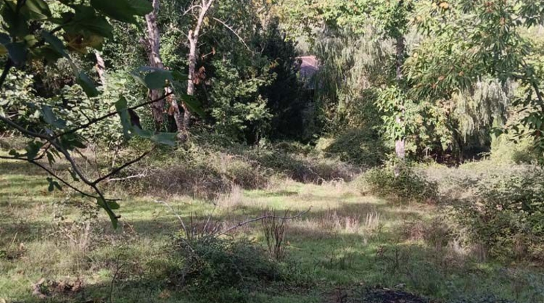 Huelva - Jabugo - 23000m2