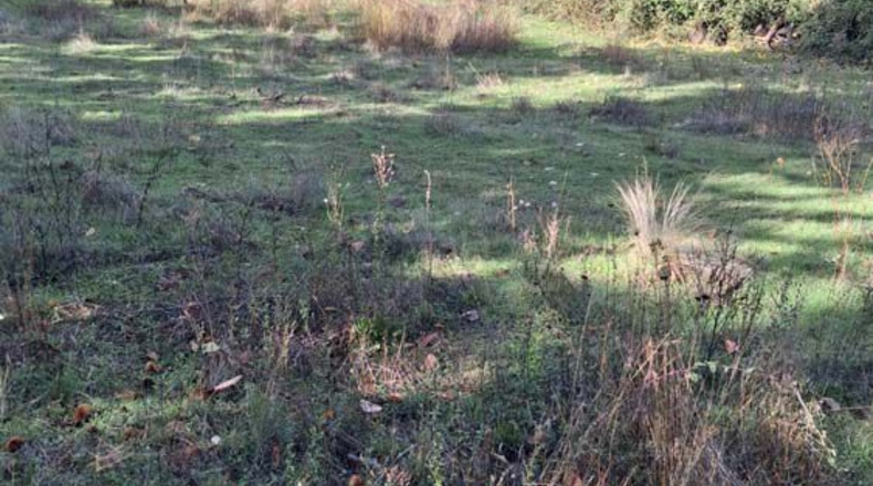 Huelva - Jabugo - 23000m2