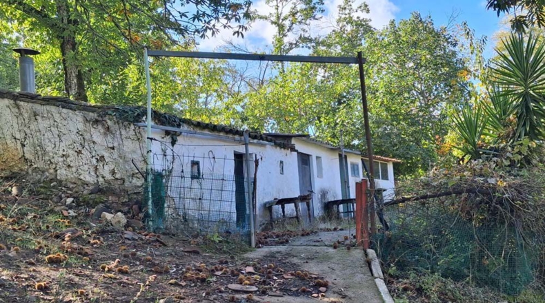 Huelva - Jabugo - 23000m2