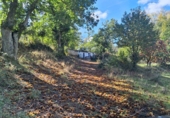 Rural estate for sale in Jabugo ref: TR405650 photo