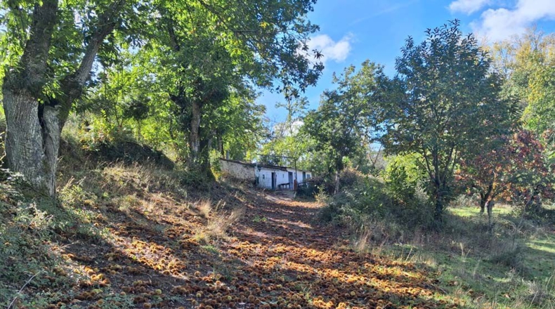 Huelva - Jabugo - 23000m2