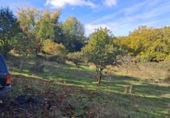 Rural estate for sale in Jabugo ref: TR405650 photo