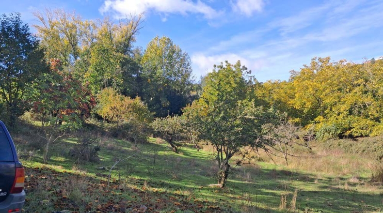 Huelva - Jabugo - 23000m2