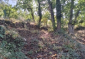 Rural estate for sale in Jabugo ref: TR405650 photo