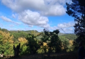 Rural estate for sale in Jabugo ref: TR405650 photo