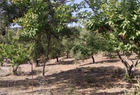 Moguer 23000&nbsp;m²