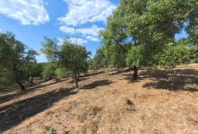 Moguer 23000&nbsp;m²
