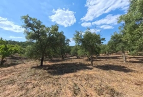 Moguer 23000&nbsp;m²