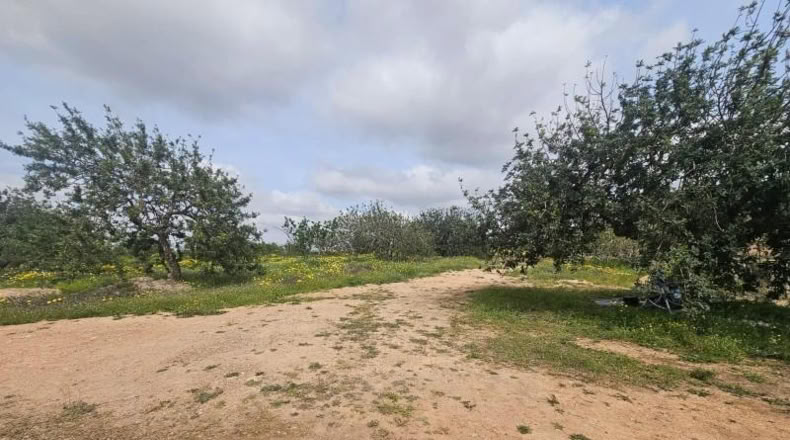 Murcia - Fuente Álamo de Murcia - 4000m2