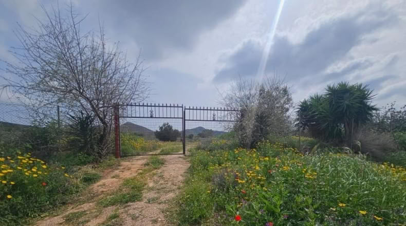 Murcia - Fuente Álamo de Murcia - 4000m2
