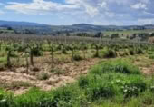 Urban land for sale on España, Sant Llorenç d'Hortons, ref: TR240425 photo