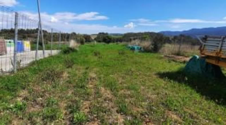 Barcelona - Sant Llorenç d'Hortons - 250m2