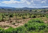 Urban land for sale on España, Sant Llorenç d'Hortons, ref: TR240425 photo