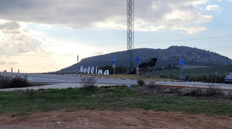 Málaga - Mollina - 1076m2