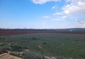 Sòl urbà en venda a la España, Mollina, ref.: TR229183 foto