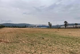 Mollina 5167&nbsp;m² 