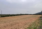 Terreno no urbanizable en venta en la España, Mollina, ref: TR390449 foto