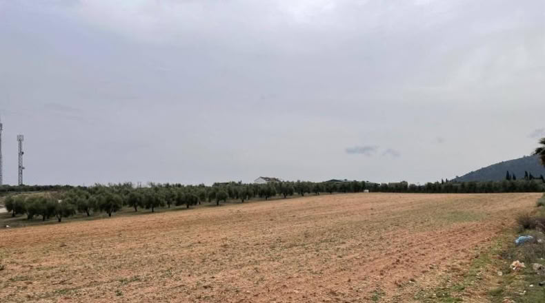 Málaga - Mollina - 5167m2