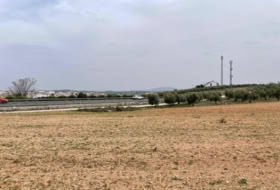 Mollina 5167&nbsp;m² 