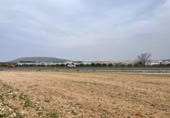 Terreno no urbanizable en venta en la España, Mollina, ref: TR390449 foto