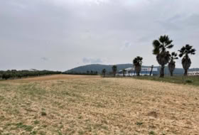 Mollina 5167&nbsp;m² 