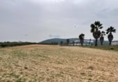 Terreno no urbanizable en venta en la España, Mollina, ref: TR390449 foto
