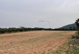 Mollina 5167&nbsp;m² 